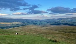 Whole farm regenerative grazing for upland livestock systems